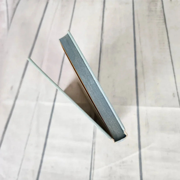 Vintage 1920s Hardcover Storybook Tommy  and the Wishing Stone Illustrated - Picture 4 of 15